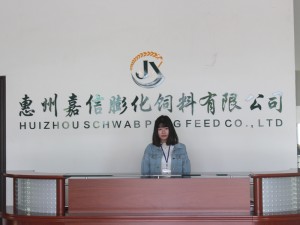 前台